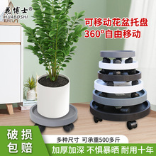 ����ʿ��֬�A�бP��ˮ�Pˮ�����ɫ��ˮ�P���������ϵ��л������