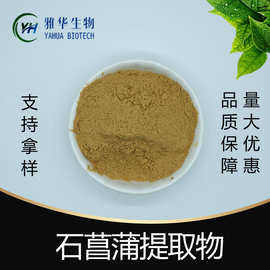 石菖蒲提取物 雅华生物 石菖蒲浓缩粉 石菖蒲浸膏粉 多规格