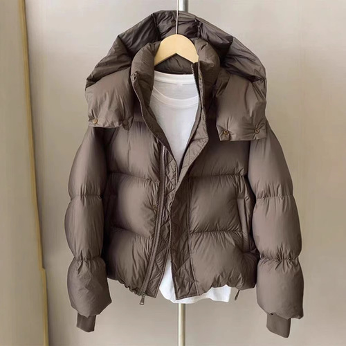 Women's Winter Short Padded Jacket - 2025 Fashion, Thick and Stylish, Han Style, Loose Design Padded Coat with Down