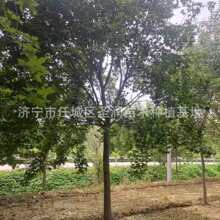 ���̾G����ľ��Ǘ����� ���̾G����Ǘ� ������Ǘ�����