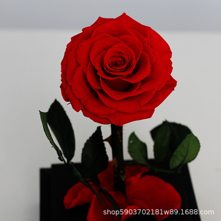 Regalo acrílico del Principito, rosa, Día de San Valentín, regalo de cumpleaños para niña, flor eterna, arte de flor eterna terminado