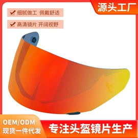 骑行眼镜;滑雪镜;宠物鞋靴