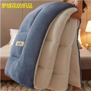 Cross-border double-sided milk velvet quilt lamb velvet warm padded winter quilt spring and autumn padded quilt core factory straight hair