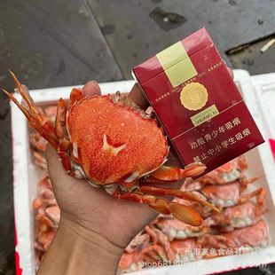 ������x�����ؔз��̖��ؔз�����;Ƶ�͏d��ɫʳ��ֱ��7��/��