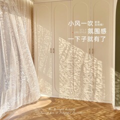 法式浪漫纱帘窗帘飘窗客厅阳台窗纱透光不透人轻奢高档镂空月枝影