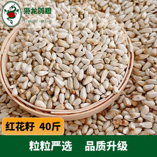 �n�����Z �t����  ِ����������ʳ 40�� �㽭������]