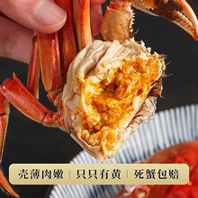 活蟹六月黄特大蟹公母蟹大闸蟹新鲜活螃蟹湖河蟹礼盒产品直发