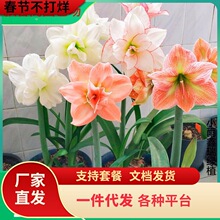 һ�����l��피t�M���ذ�N��������������Y�и��\��Ƭ�Ӹ��҃��b