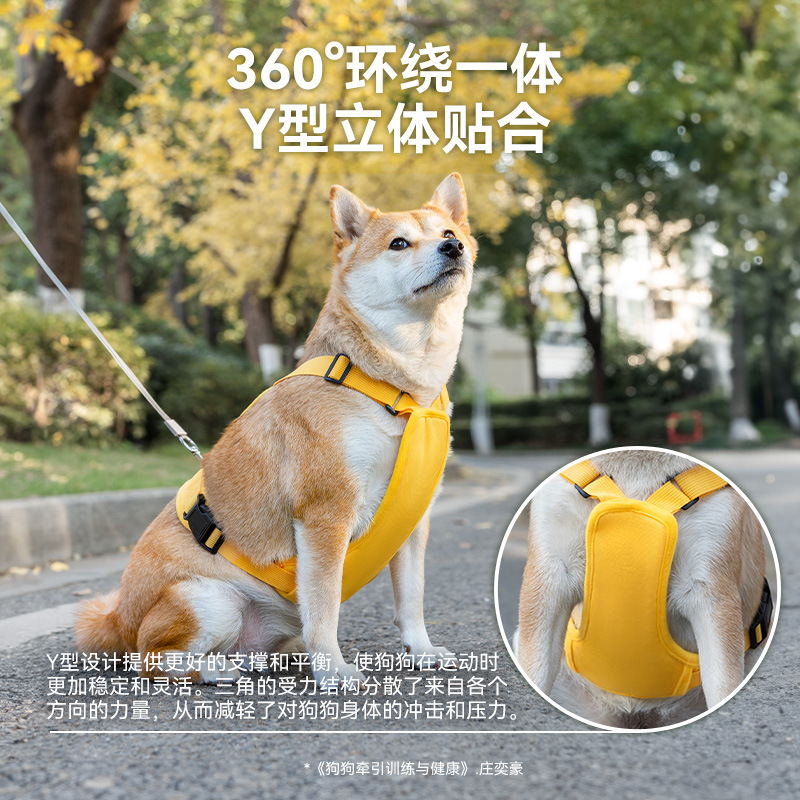 2024 nuevo chaleco para perros cuerda de tracción dibujos animados perro mediano y grande método golden retriever perro grande fuera correa para el pecho en forma de Y