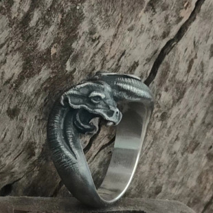 �Wʽ����ϵ���f�L�p�^��������ָ����ʿ�Ԛ�͹ł��Ԇ���ָ�h