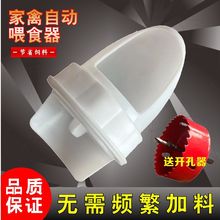 鸡鸭鹅自动喂料器家禽自动喂食器喂鸡器鸡料养鸡饲料鸭鹅通用食槽