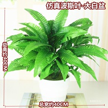 �bٻ��G�}�ȼ����Gֲ�����Կ͏d�����řڻ��仨�ݻ���