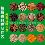 黑白胡椒黄姜粉豆蔻孜然粉八角桂皮花椒辣椒五香卤肉香料大全混批