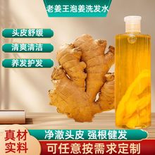 泡姜洗发水防脱育发洗发露老姜王去屑改善掉发厂家护发控油姜疗