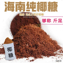 ����Ҭ��������Ҭ���u��Ҭ���I�B���o��ֲ���������x�������l���l