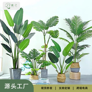 ���W����Gֲ�쾰��Ѫ��ֲ���҃����������Bɢβ���پGֲ�辰���l