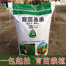 1通用型营养土蔬菜多肉草莓养花种菜栽培绿化育苗基质批发代发