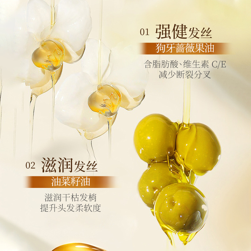 LVFEI rejuvenecimiento de la esencia de aceite, mejorar la calidad del cabello seco y peludo, teñir, reparar y mantener el aceite esencial.