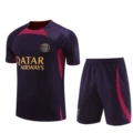 2324 paris blue purple