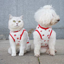 chongtapet纯棉宠物背心夏季薄款猫咪泰迪衣服放掉毛柯基背心批发