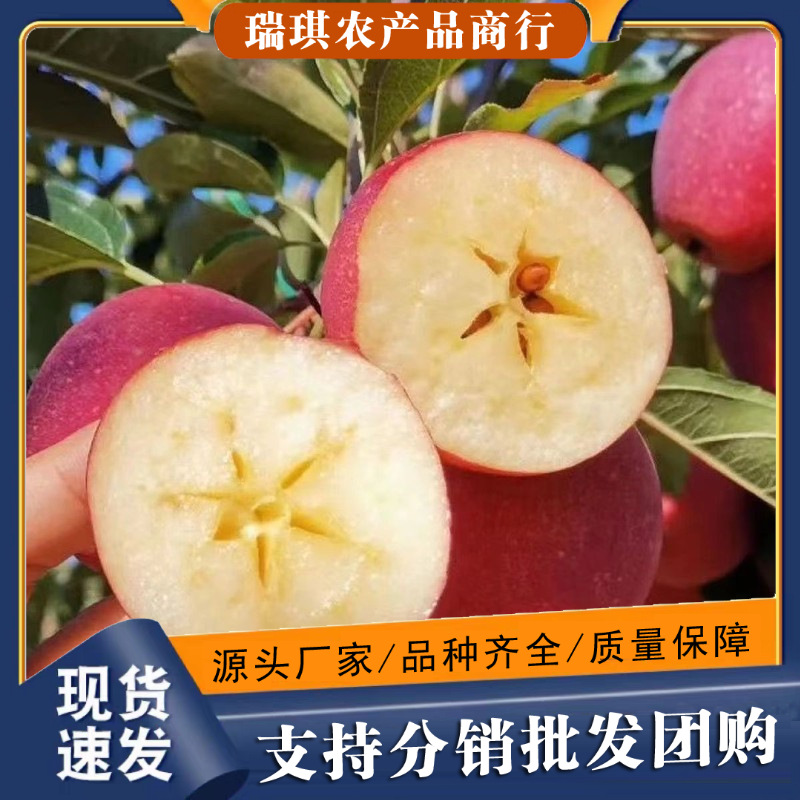 正宗东北鸡心果5斤整箱新鲜当季水果10批发包邮3斤海棠拇指小苹果
