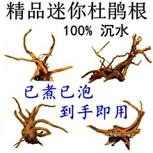 ���N�� ���� ˮ��  ���� �쾰 ��ľ  ������ Ī˹�� �~������ȥ�S