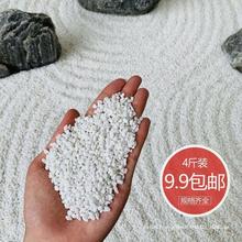 白石子批發小白石鵝卵石白色石米多肉鋪面枯山水石子白色洗米石頭