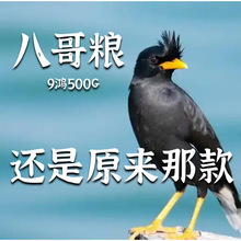 ˸ZZBʳ˸BϿϡSؽBZʳȫIBBZ