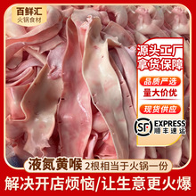 液氮黄喉火锅食材鲜猪黄喉厂家冷冻猪黄喉商用半成品黄喉批发