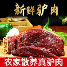 现杀新鲜驴肉驴肋条生鲜批发5斤10斤后腿肉顺丰包邮保定厂家直销