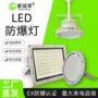 防爆定制化工50w100w防爆灯