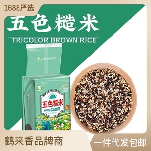 Пяти -колор коричневый рис 5 кот вакуумной плитки 2,5 кг черного риса красного риса коричневый рис овсянка Soba Rice Grain Разное зерно