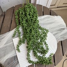 佛珠情人泪仿真多肉家居墙面壁挂藤条吊顶装饰绿植摄影拍摄道具花