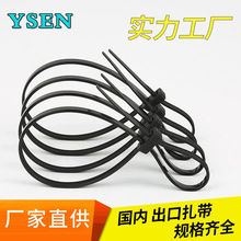 厂家4.8*300mm双头双孔自锁式尼龙塑料捆绑线扎带 金属电缆捆绑带