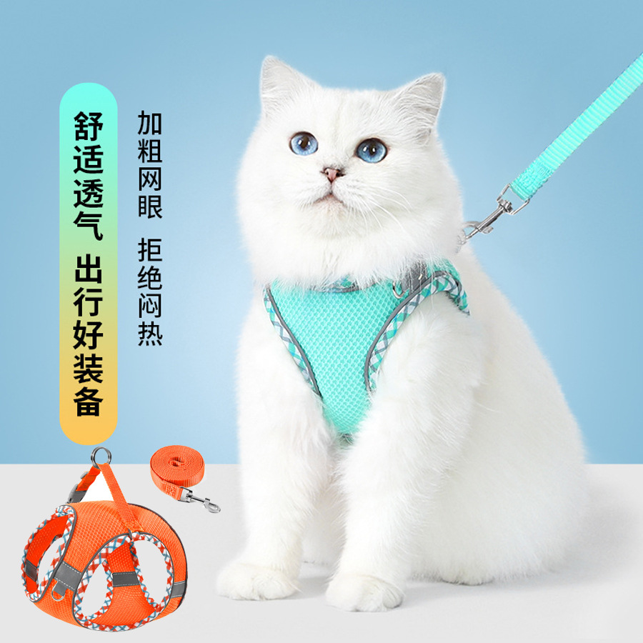 Gato Correa chaleco estilo pequeño perro caminando perro gato correa de pecho anti-rotura oso de peluche