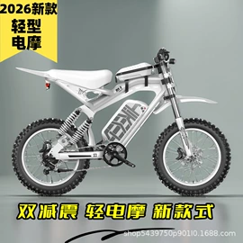 电动摩托车;电动自行车;车架