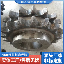 单排双挂传动齿轮 双排双节距链轮现货供应 各种尺寸齿轮定制加工