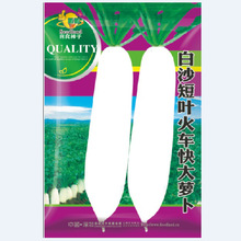 ϲ߲˷NӰɳ~܇}}@¶500