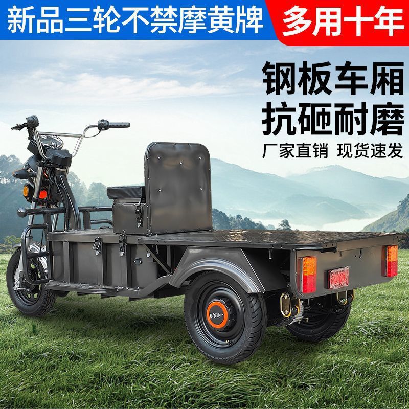 Электрический грузовой трицикл 1500W без аккумулятора