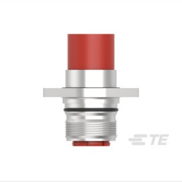 TE/̩��SEGA002NN00000002000���ؿ��ŷ������� �ֻ� �������