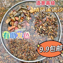 溪流石底沙鱼缸造景底沙溪沙河沙化妆沙原生缸造景沙底砂批发代发