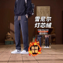 �߂��Ӽ��L��ѝ2025�ﶬ��ʽ���ƌ��ɼӽq�Ӻ��о�q���eѝ