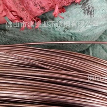 SlP䓾 316lPݽz ˲P䓾F؛ͷɽ