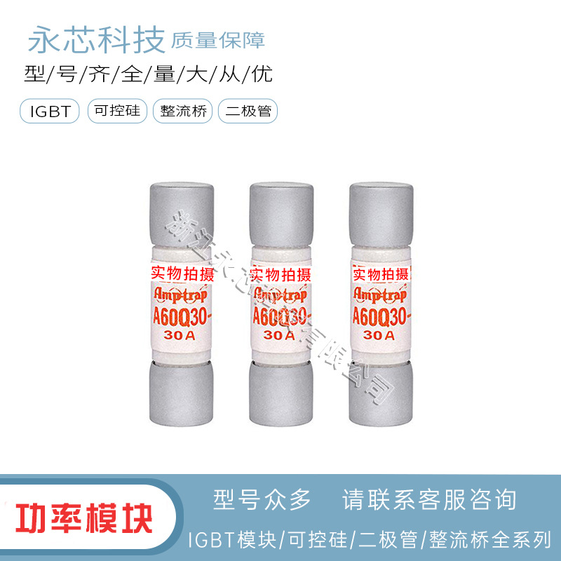 A60Q20-2  A60Q25-2  A60Q30-2 原装现货直销快速熔断器保险丝