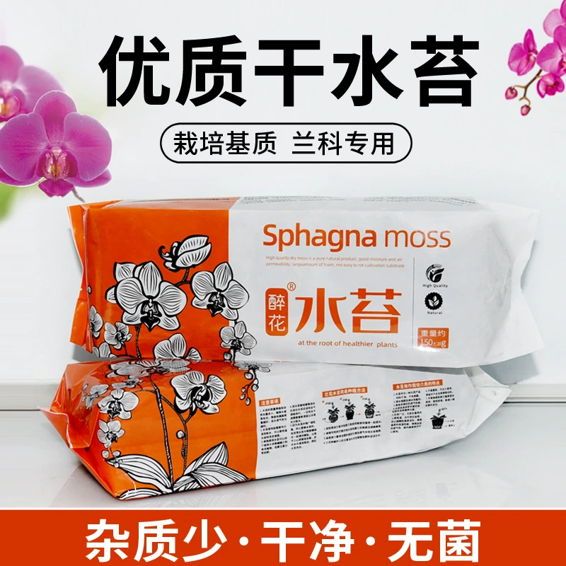 Сушеный фаленопсис свежий сушеный мох Орхидея Dendrobium насекомое растение специальная почва