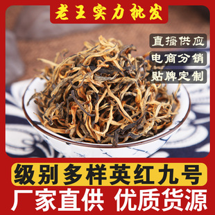 ���������l��Ӣ�t��̖ Ӣ�¼t��S���lӢ�t9̖�����ͽ�ѿ�Ϙ���~