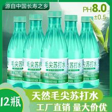 0卡毛尖茶味苏打水饮品365ml瓶装饮料无气碱性夏季清爽补水