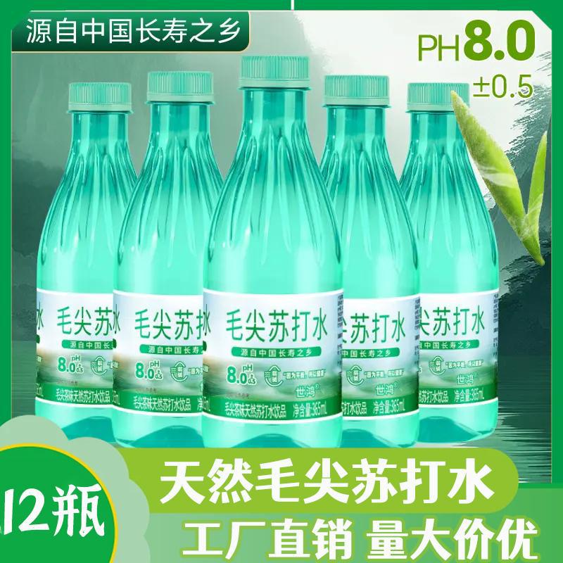0卡毛尖茶味苏打水饮品365ml瓶装饮料无气碱性夏季清爽补水