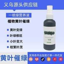 一喷绿黄叶变绿叶面肥蔬菜花卉果树植物通用营养液黄叶死苗叶绿素