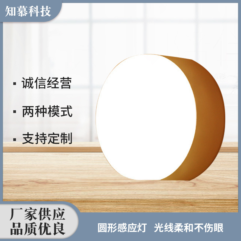 贸易优选led小夜灯智能人体感应usb充电磁吸夜灯橱柜走廊过道灯具|ru